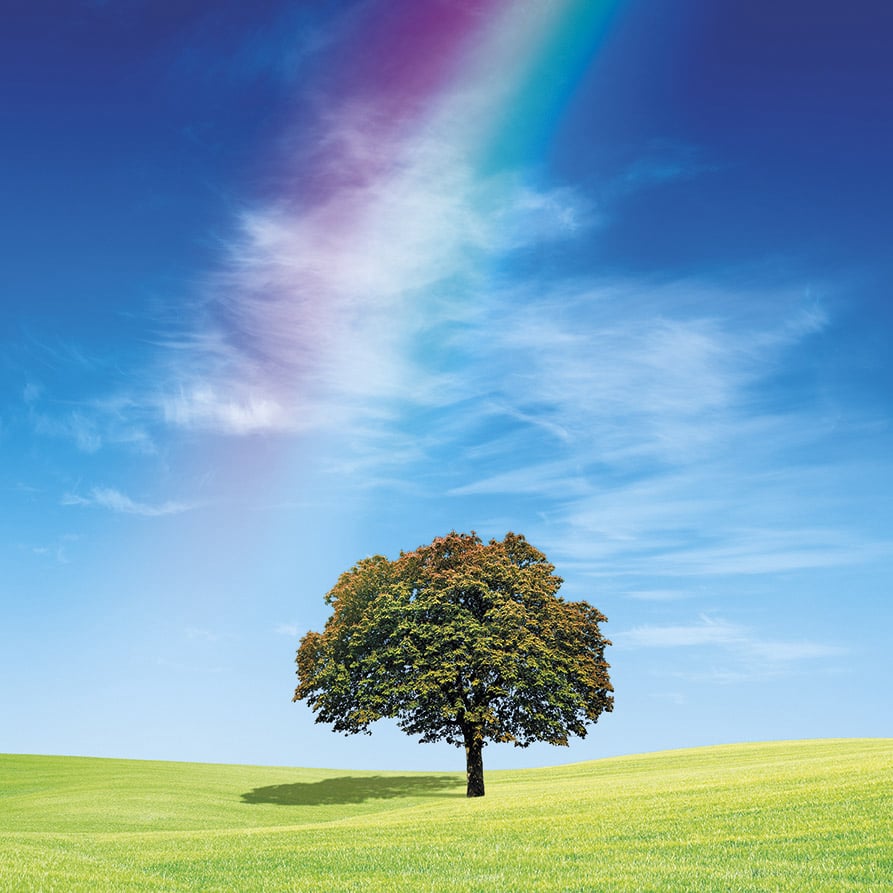 Natur Energi træ