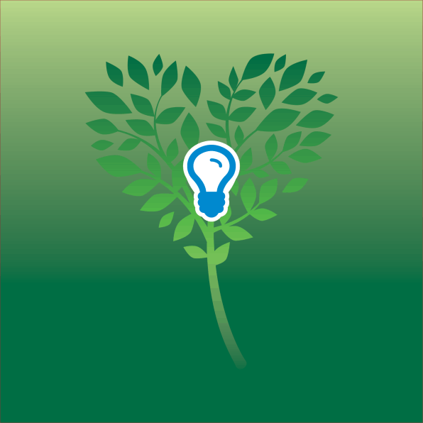 Natur Energi undervisning